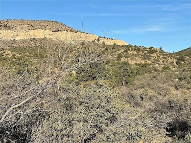 Purple Heart Trail, Kingman, AZ 86401 - photo 6