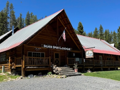 2742 Orogrande-Dixie Rd, Dixie, ID 83525 - photo 3