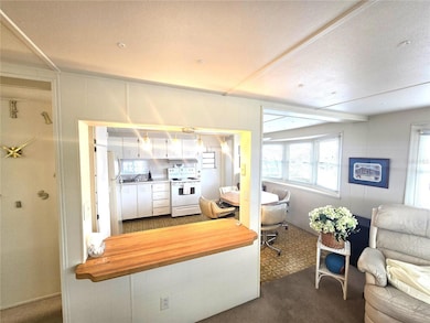 37135 Sandra Ave, Zephyrhills, FL 33542 - photo 6