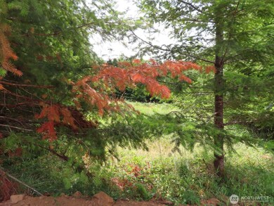 0 Lot B Mill Creek Rd, Longview, WA 98632 - photo 7