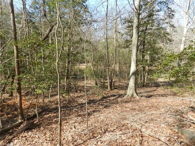 00 Nc Highway 134, Asheboro, NC 27205 - photo 6