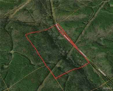 8648 Groundhog Rd, Adger, AL 35006 - photo 5