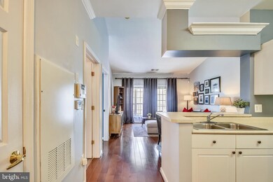 4550 Strutfield Ln unit 2408, Alexandria, VA 22311 - photo 5