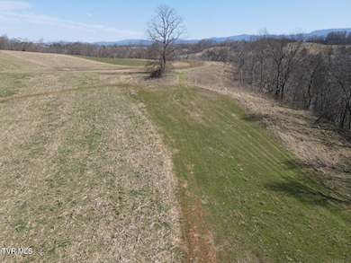 Tbd River Village Ln, Afton, TN 37616 - photo 7