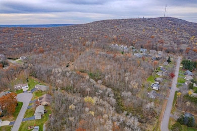 17 Acres Snowflake Ln, Wausau, WI 54401 - photo 4