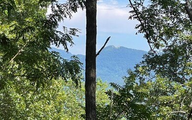 Additional View