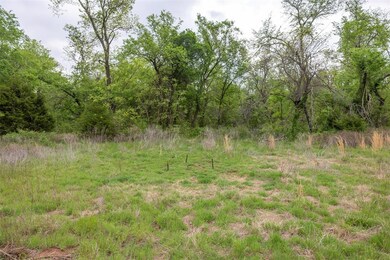 Mature Trees