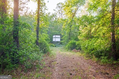 0 Dm Tillman, Baxley, GA 31513 - photo 6