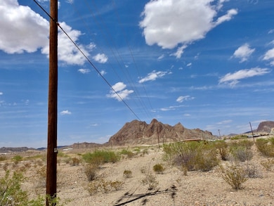 0 Hwy 118 unit 130769, Terlingua, TX 79852 - photo 4