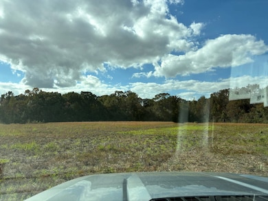 9000 Roberts Cove Rd (Hwy 98), Rayne, LA 70578 - photo 2