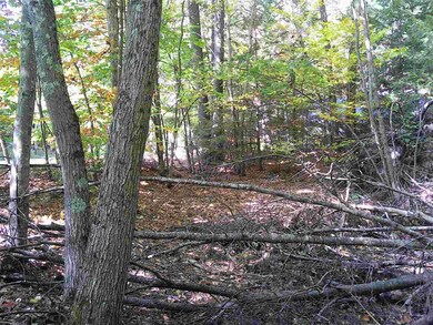 Lot 61A Colony Dr, Barnstead, NH 03225 - photo 5