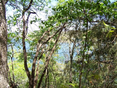 Logslide bluff