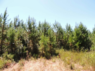 13.9 + - Ac Awebreys Gin Rd, Franklin, GA 30217 - photo 2