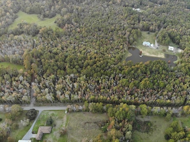 27+- Acres Hillon Hood Rd, Denham Springs, LA 70726 - photo 3