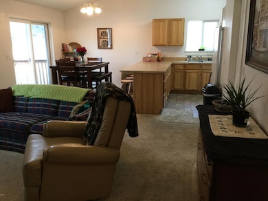 Open Kitchen/Dining/Living