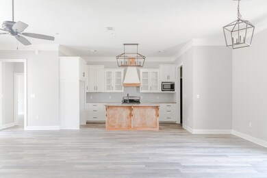 1818 Atlanta Ave, Oxford, MS 38655 - photo 3