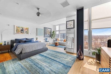 218 W Water St unit 705, Charlottesville, VA 22902 - photo 4