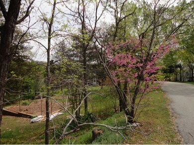 3 Maple Ln, Kimberling City, MO 65686 - photo 6