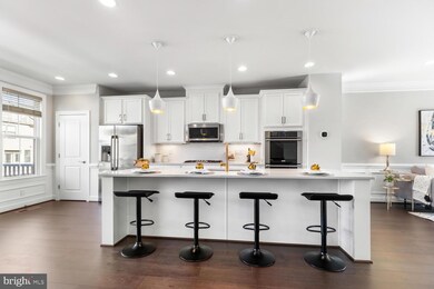 6159 Carey Park Ln, Falls Church, VA 22041 - photo 3