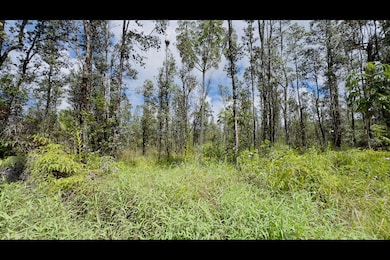 Lot 5096 is lightly wooded with native Ohia trees.