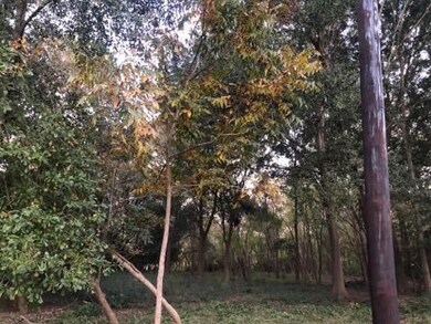 0 Tower St unit 29675708, Houston, TX 77088 - photo 4