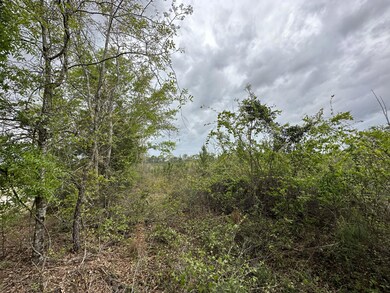 Tract#6103 E Lloyd Mill Rd, Other, AL 00N/A - photo 7