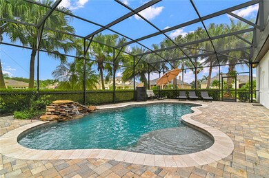 The beautiful custom salt water pool built in 2015