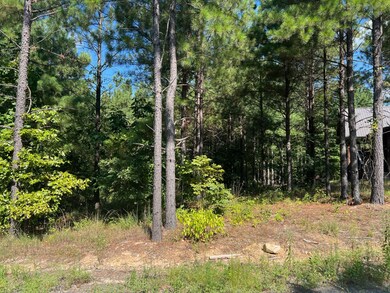 53 Weathered Timber Trail, Broken Bow, OK 74728 - photo 5