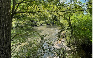 Additional View