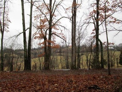 0 Calloway Rd unit 916783, Blaine, TN 37709 - photo 4