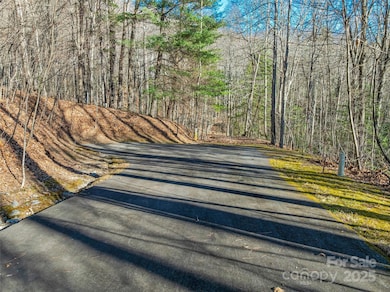 TBD Ladys Fern Trail unit 10, Laurel Park, NC 28739 - photo 6