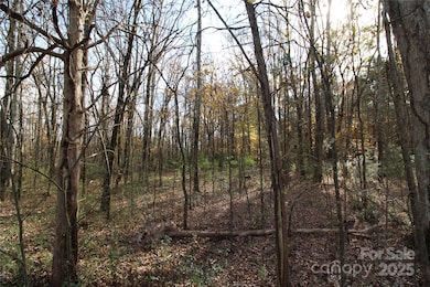 6.5+/-AC Bookout Rd, Rock Hill, SC 29730 - photo 7