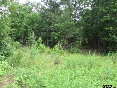 20312 Fm 850, Arp, TX 75750 - photo 3