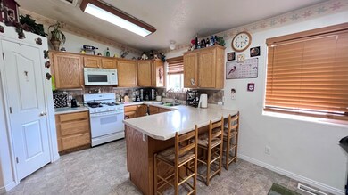 IMG_4667