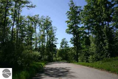 13506 S Bahia Vista Dr unit 17, Traverse City, MI 49684 - photo 7