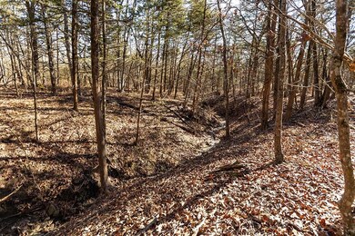 382 E Willoughby Rd, Fayetteville, AR 72701 - photo 7