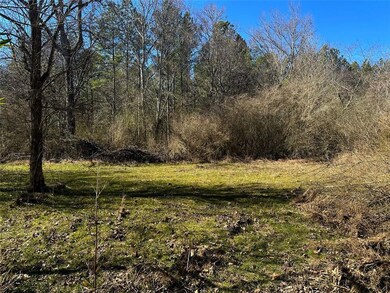 0 Conniston Rd unit 7575463, Chatsworth, GA 30705 - photo 2