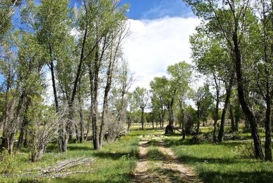 Paradise on New Fork