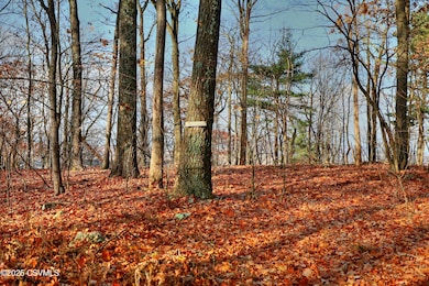 449 Evergreen Ln, Catawissa, PA 17820 - photo 2