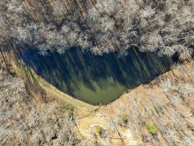 0 Millshed Rd unit RA20256885, Morgantown, KY 42261 - photo 4