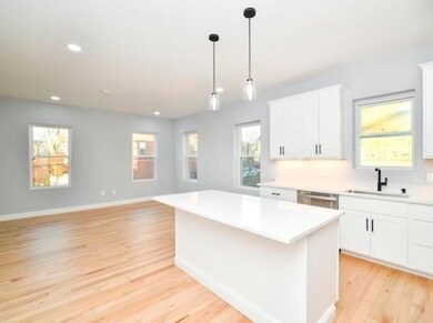 44 Linwood St unit 2, Roxbury, MA 02119 - photo 4