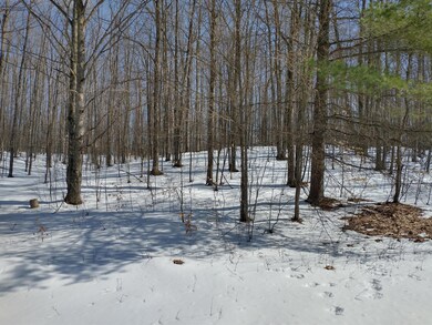 IMG_20240225_133750159_HDR
