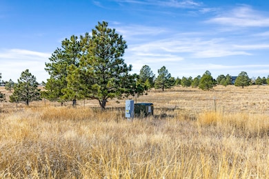 Tbd Highway 86, Elizabeth, CO 80107 - photo 7