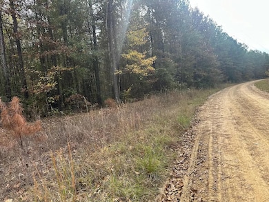 Ebenezer Tap Rd, Trout, LA 71371 - photo 2