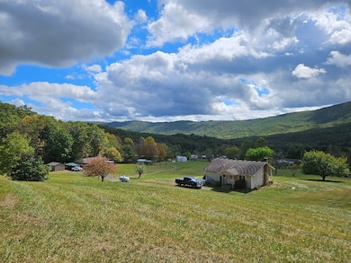 127 Anns Ln, Bastian, VA 24314 - photo 4