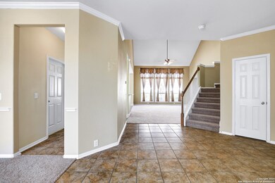 10631 Rainbow View, Helotes, TX 78023 - photo 3