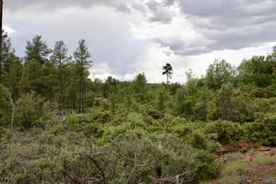 882 Geronimo Ln, Show Low, AZ 85901 - photo 2