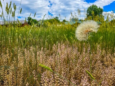 Tbd High St, La Veta, CO 81055 - photo 7