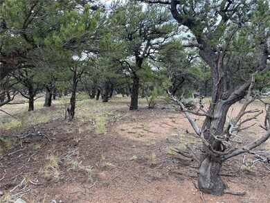 7863 Platten Rd, Fort Garland, CO 81133 - photo 7