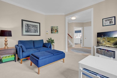 7-web-or-mls-7876-nassau-loop